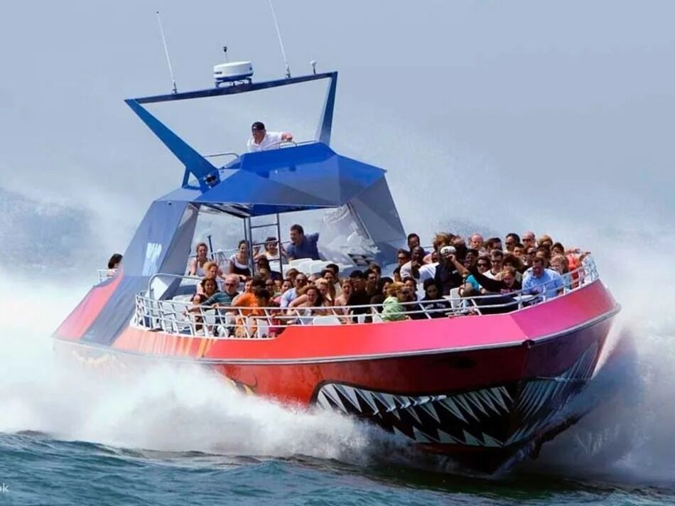 Picture of Codzilla - Boston Harbor City Cruises - Long Wharf