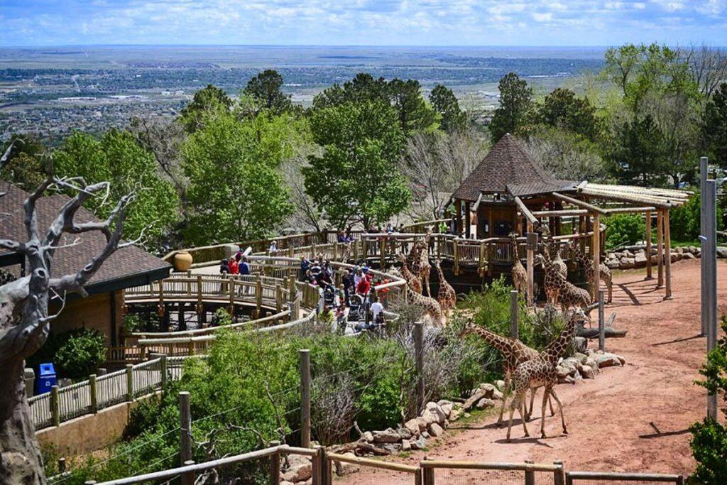 Picture of Cheyenne Mountain Zoo