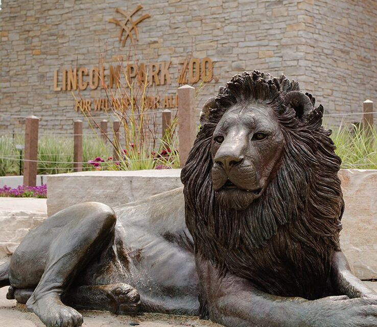 Picture of Lincoln Park Zoo