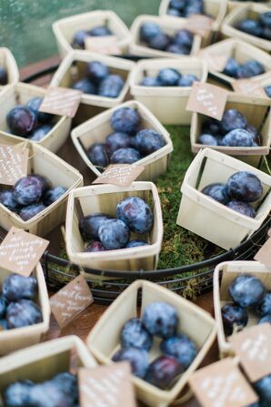 Fresh Plum Escort Cards
