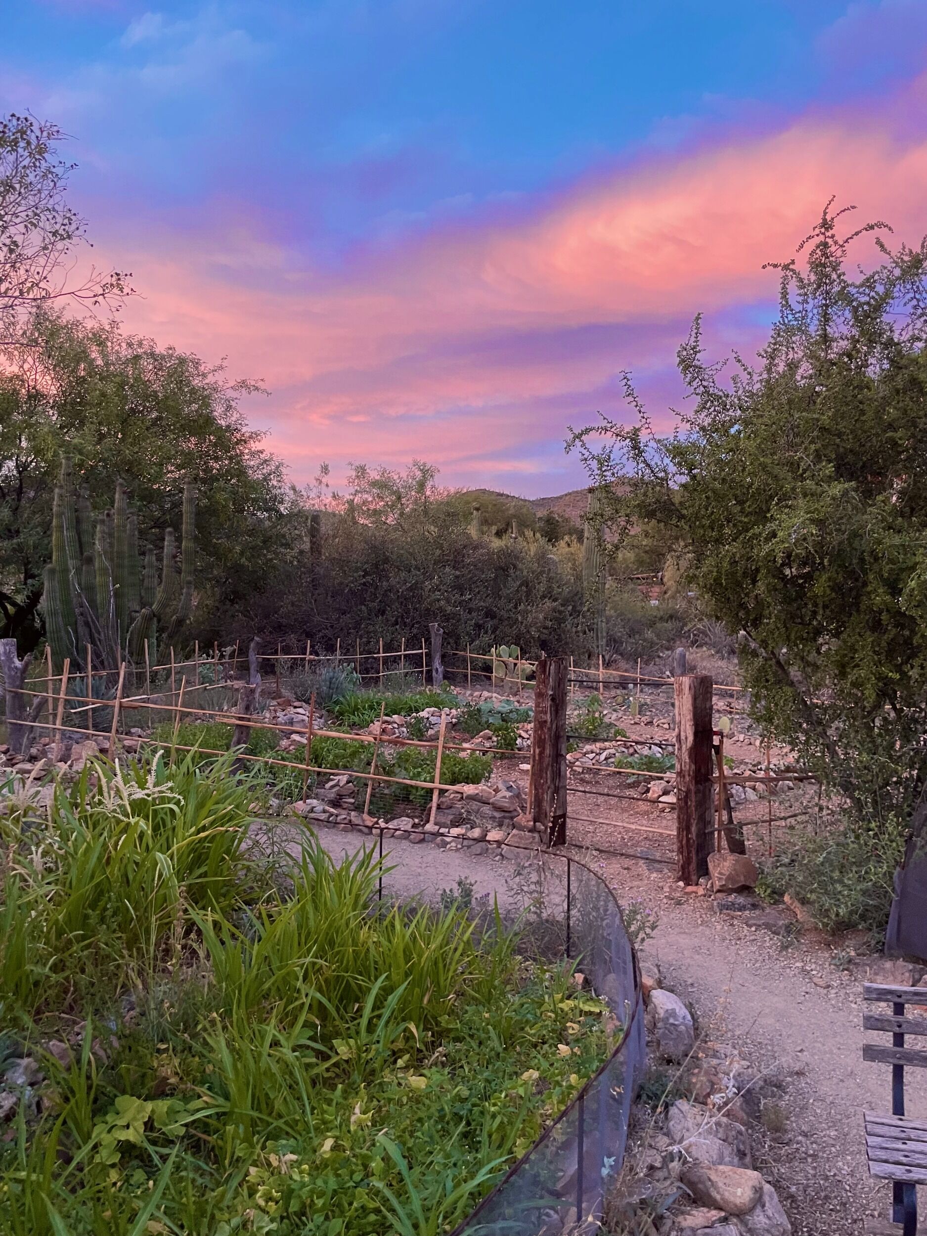 Picture of The Desert Museum