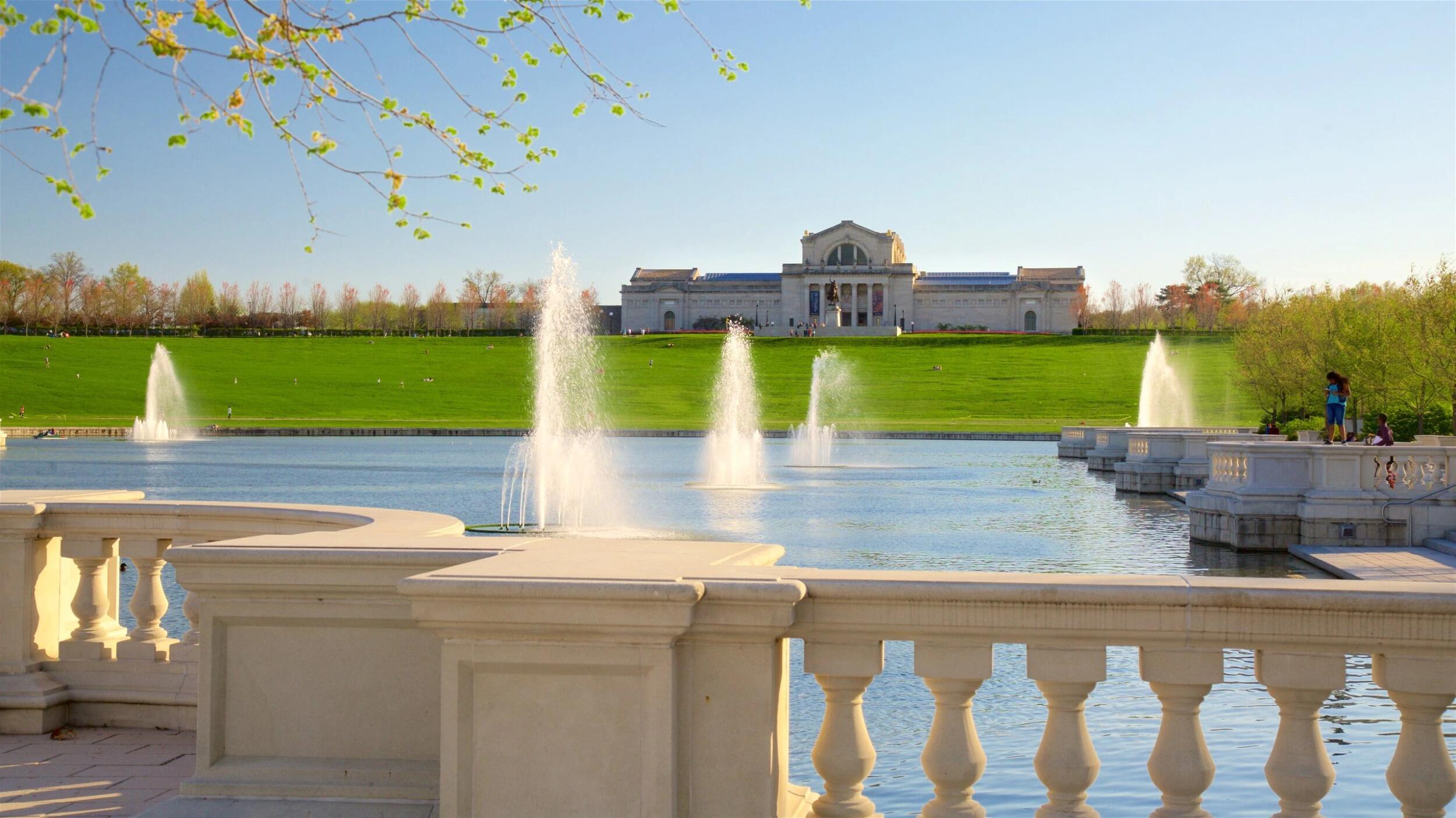 Picture of Saint Louis Art Museum