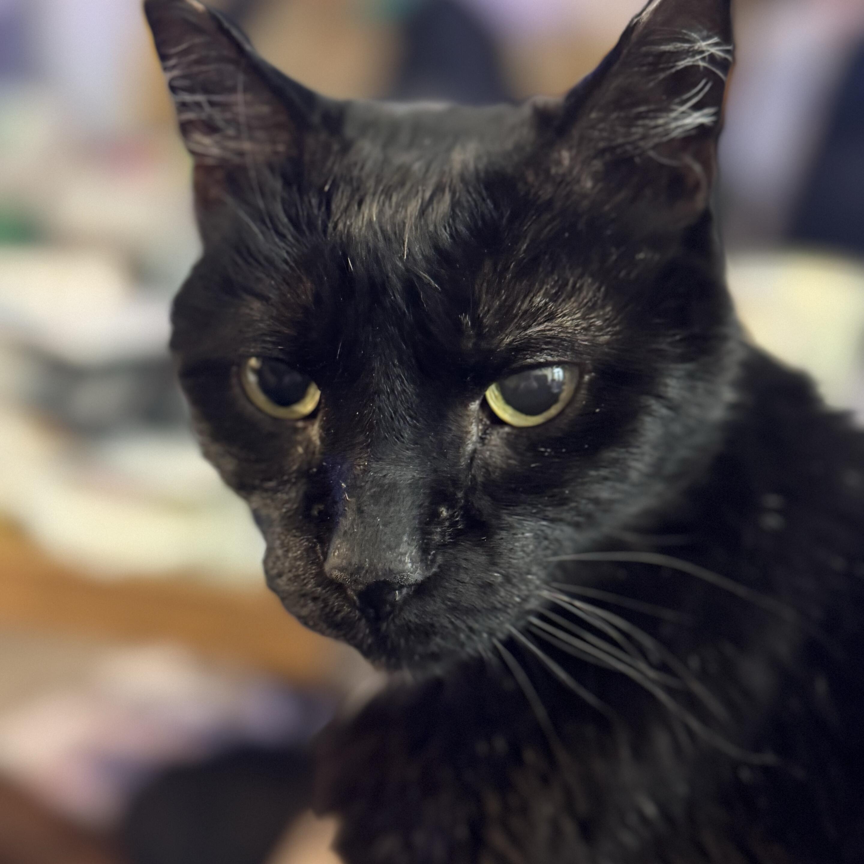 Sam