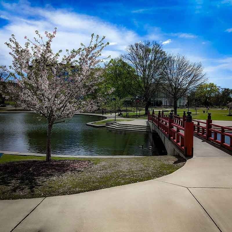 Picture of Big Spring International Park