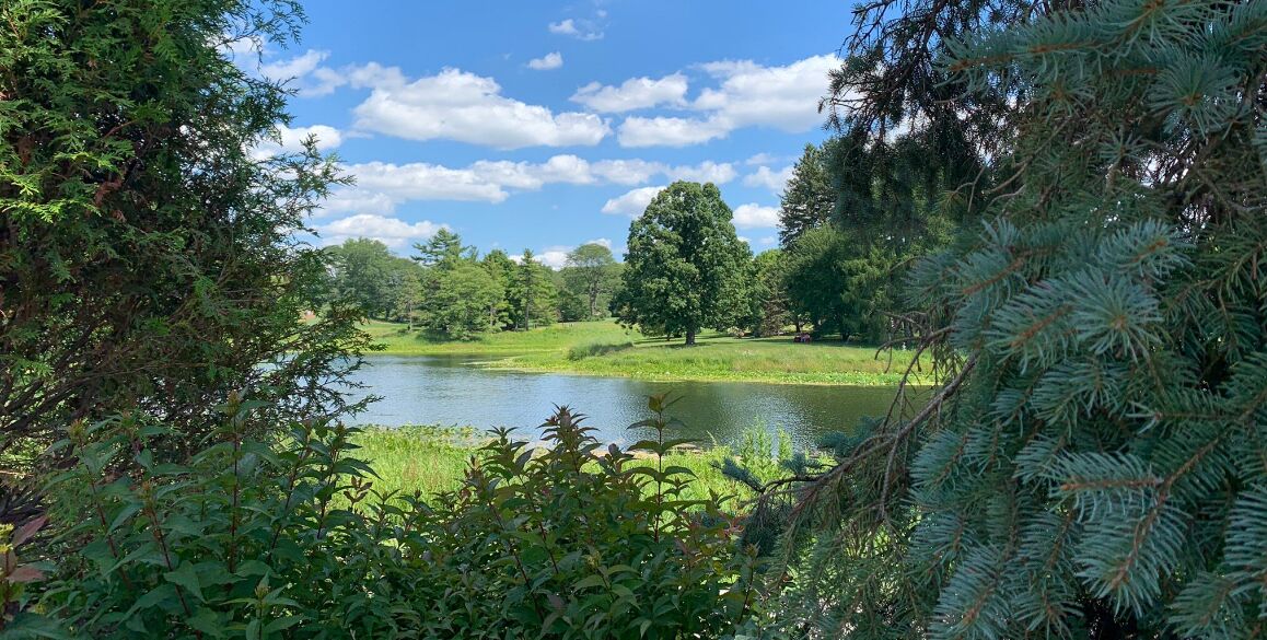 Picture of Morton Arboretum