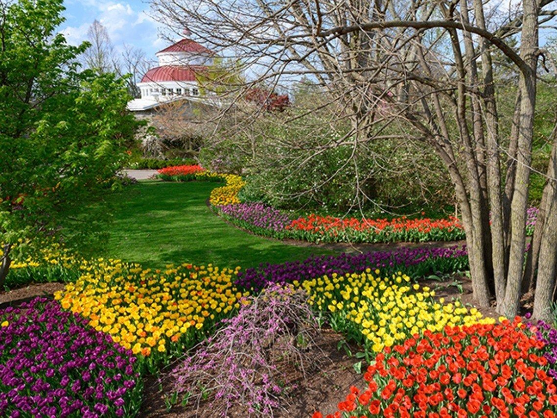 Picture of Cincinnati Zoo & Botanical Garden