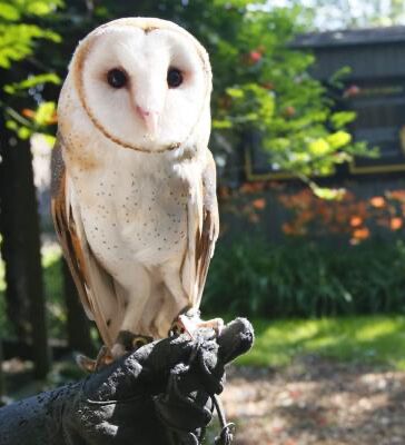 Picture of Hawk Creek Wildlife Center