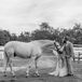 Black and White Photo of the Bride's Horse on a Ranch, Bride and Groom Kissing