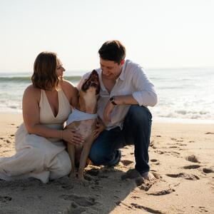 Gallery Photo 28