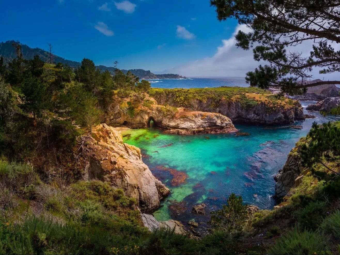 Picture of Point Lobos State Natural Reserve