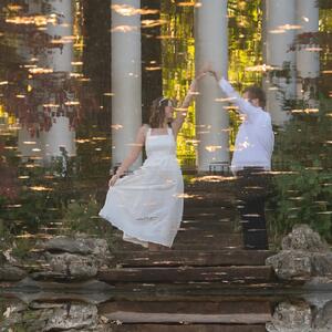 Gallery Photo 4