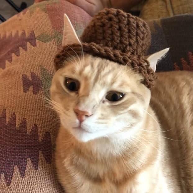 Archie
