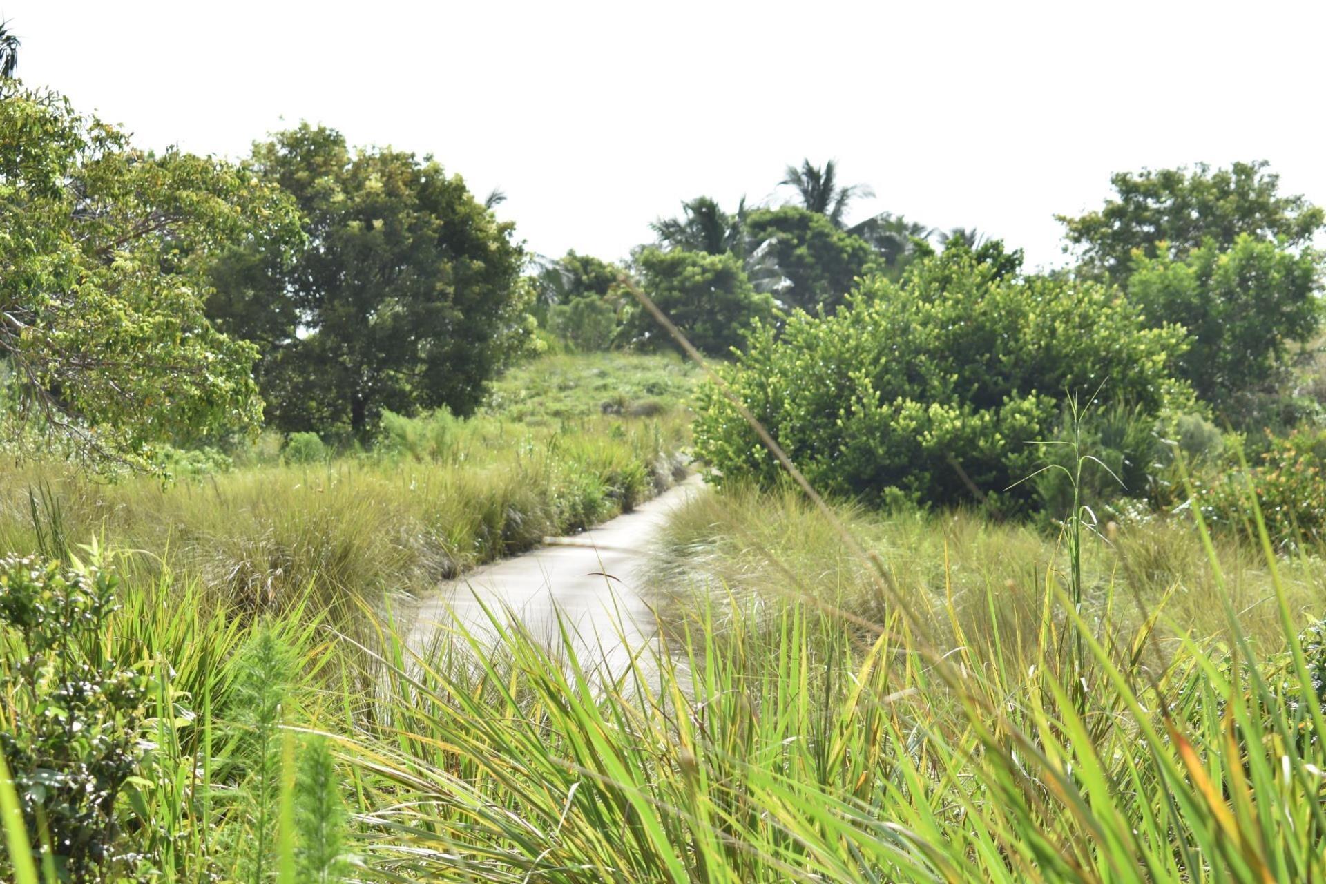 Picture of Plantation Preserve and Linear Trail