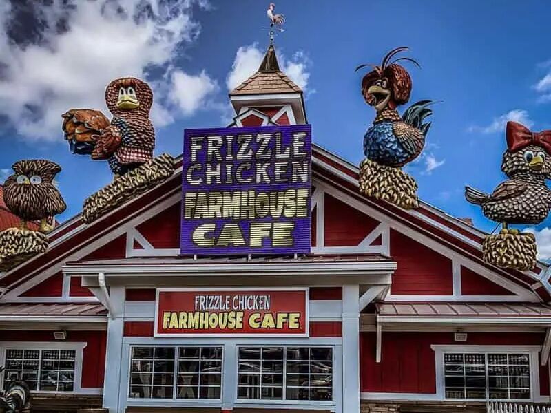 Picture of Frizzle Chicken Cafe