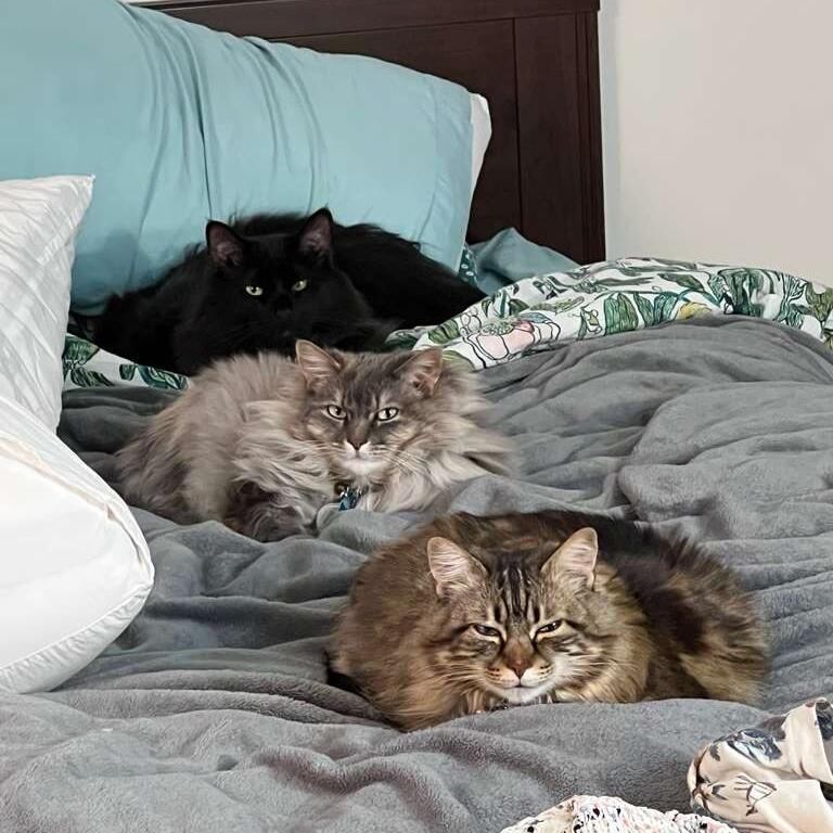 Picture of The most important of all...