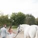 Groom in Light Gray Suit and Bride in Fitted, Low-Back Gown Walk White Horse