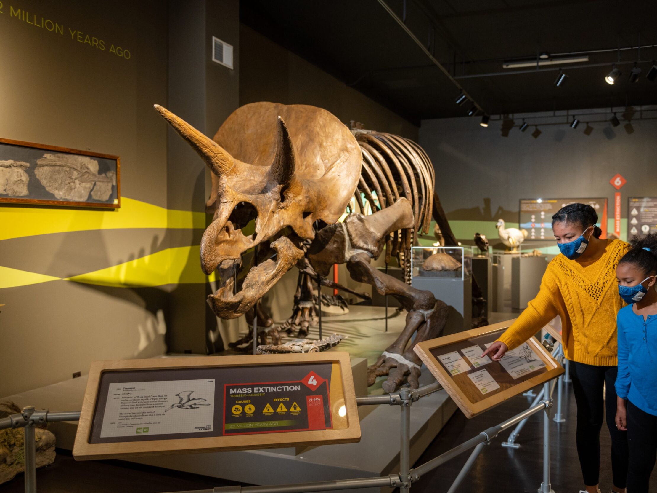 Picture of Buffalo Museum of Science