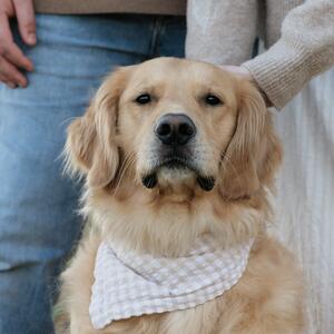 Gallery Photo 26