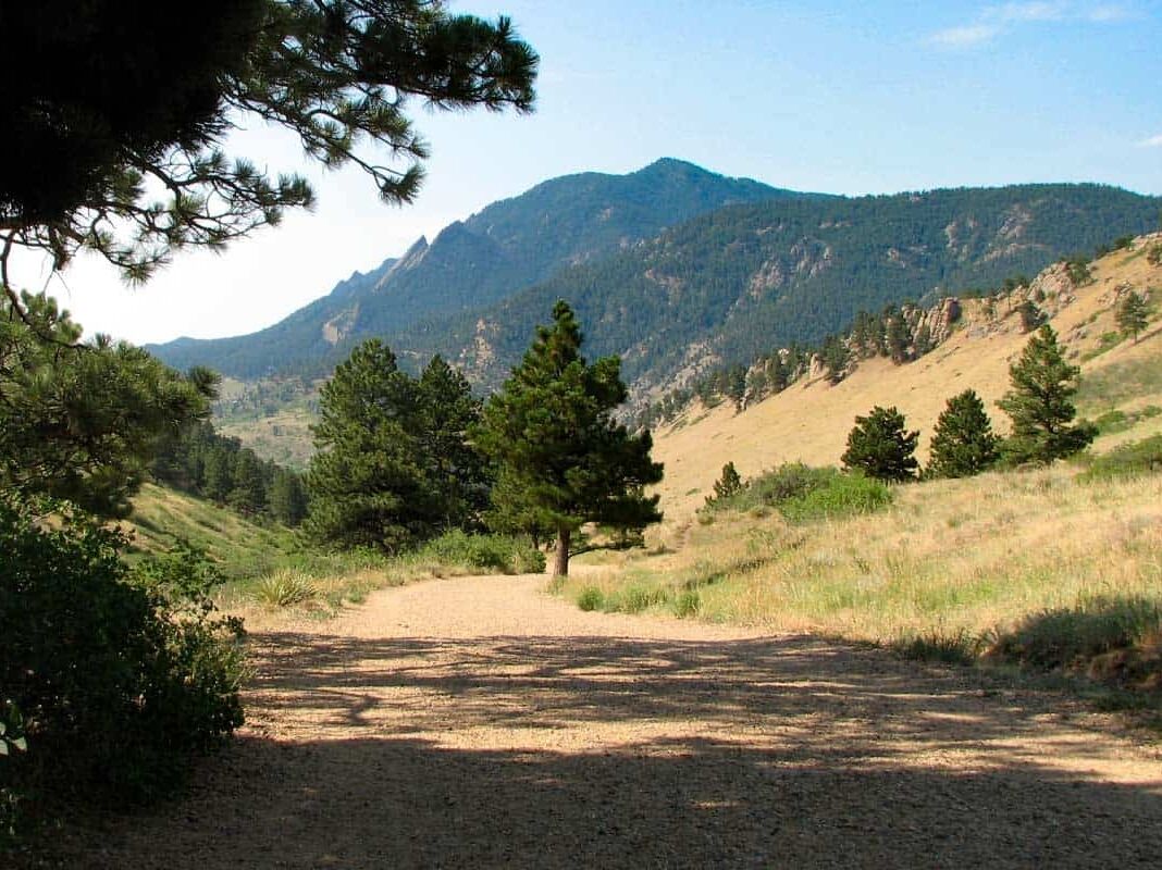 Picture of Mount Sanitas Trail