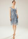 AW Bridal AW Rosanna Dress Blue Mother Of The Bride Dress - thumbnail - 3