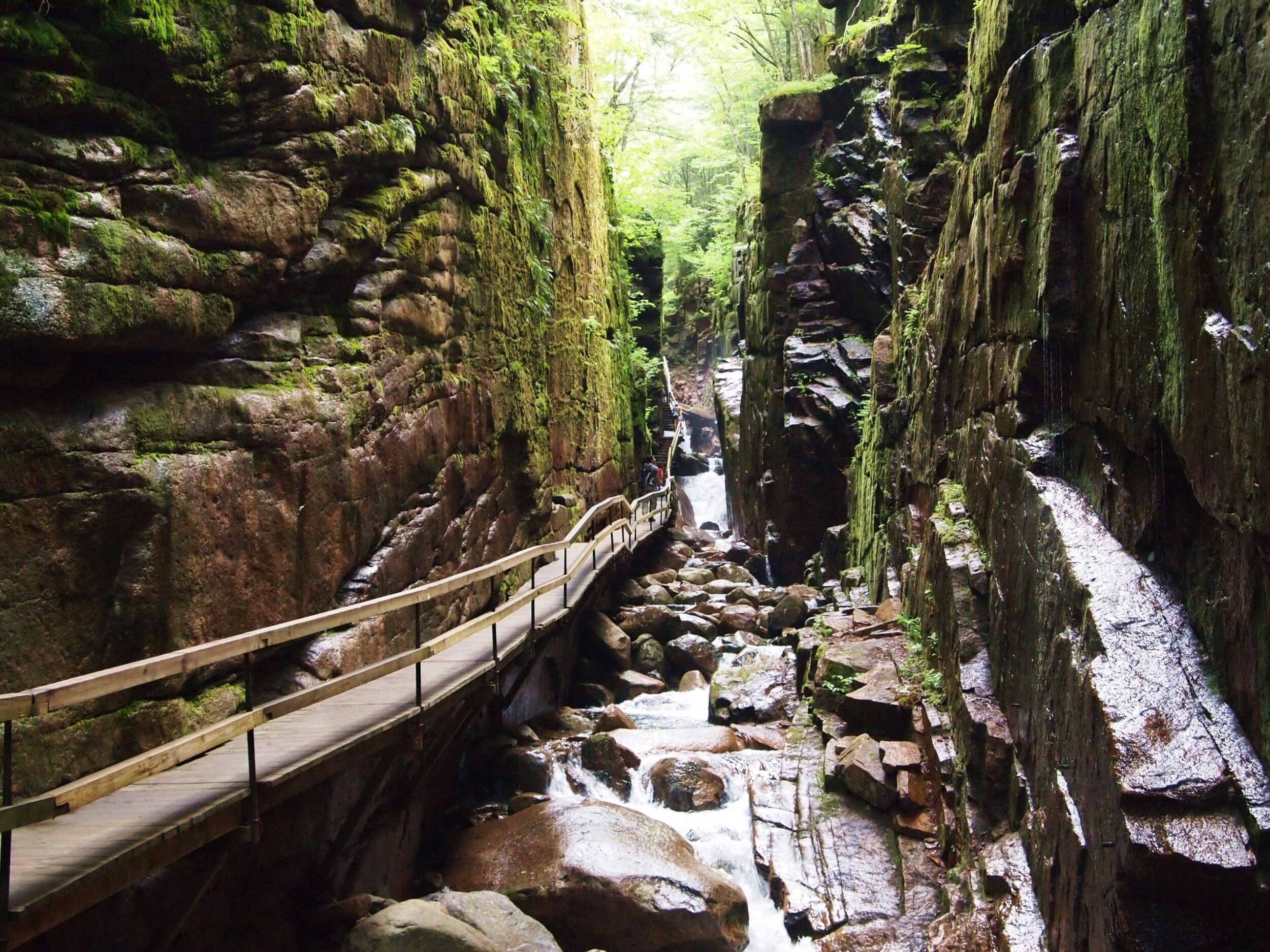 Picture of Flume Gorge