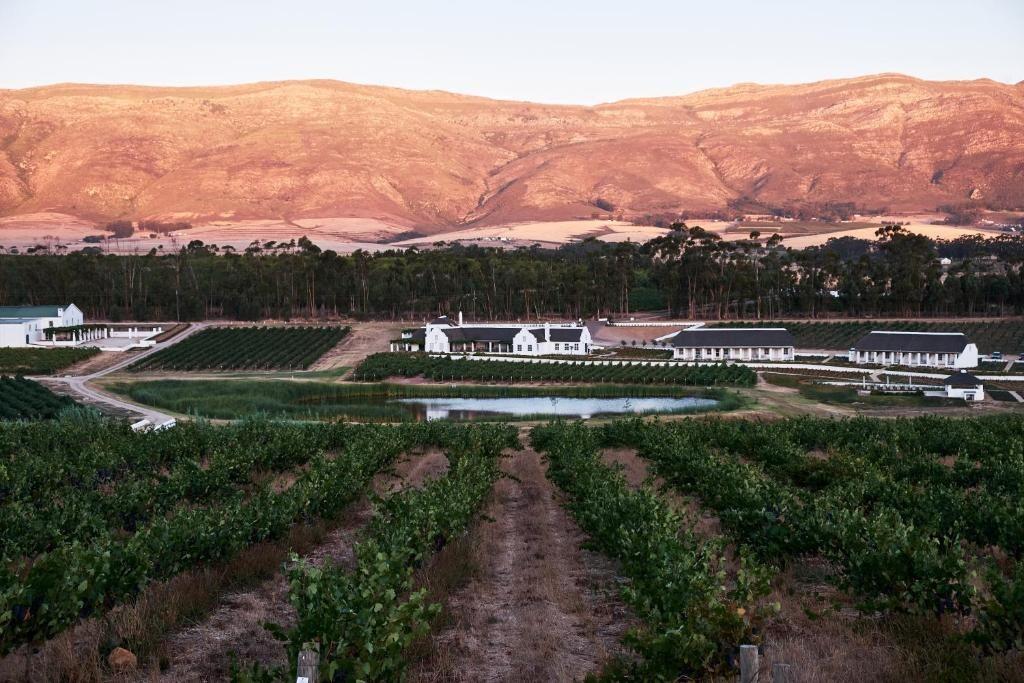 Picture of Rijks Wine Estate and Hotel. Tulbagh.