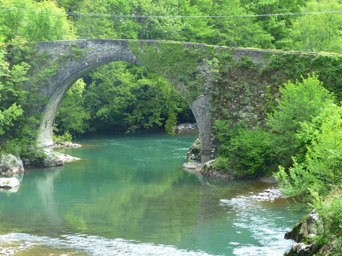 Picture of Swim in the Lima River 