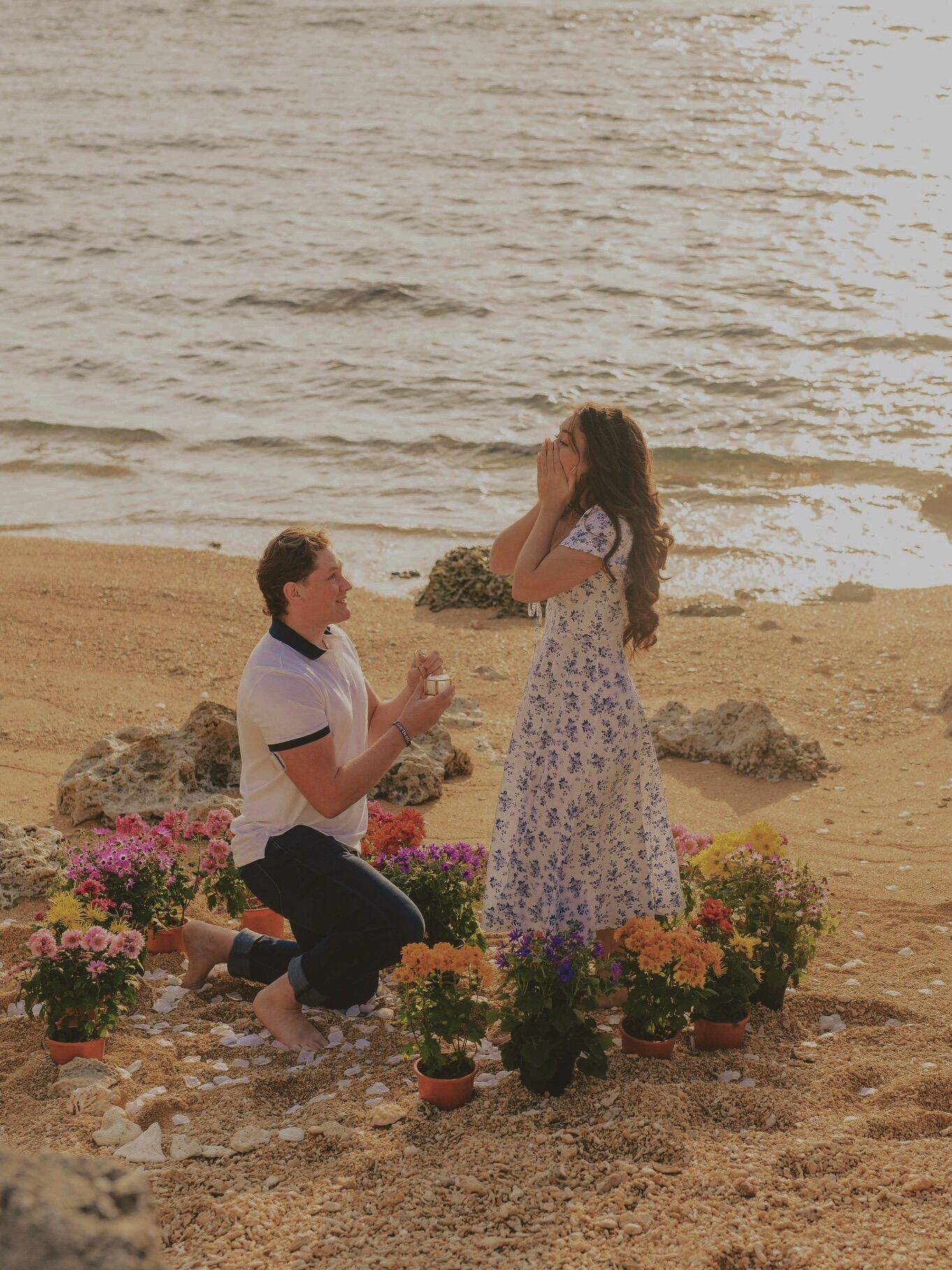 Picture of The Proposal