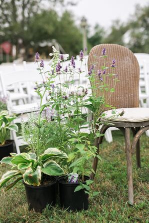 Natural Potted Plant Aisle Décor