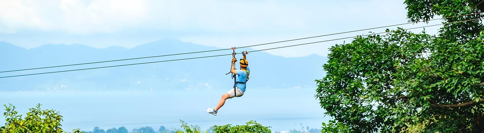 Picture of Tree Bridge Zipline
