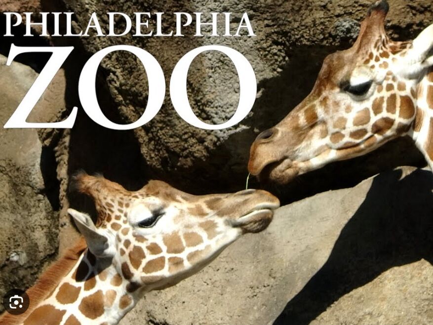 Picture of Philadelphia Zoo