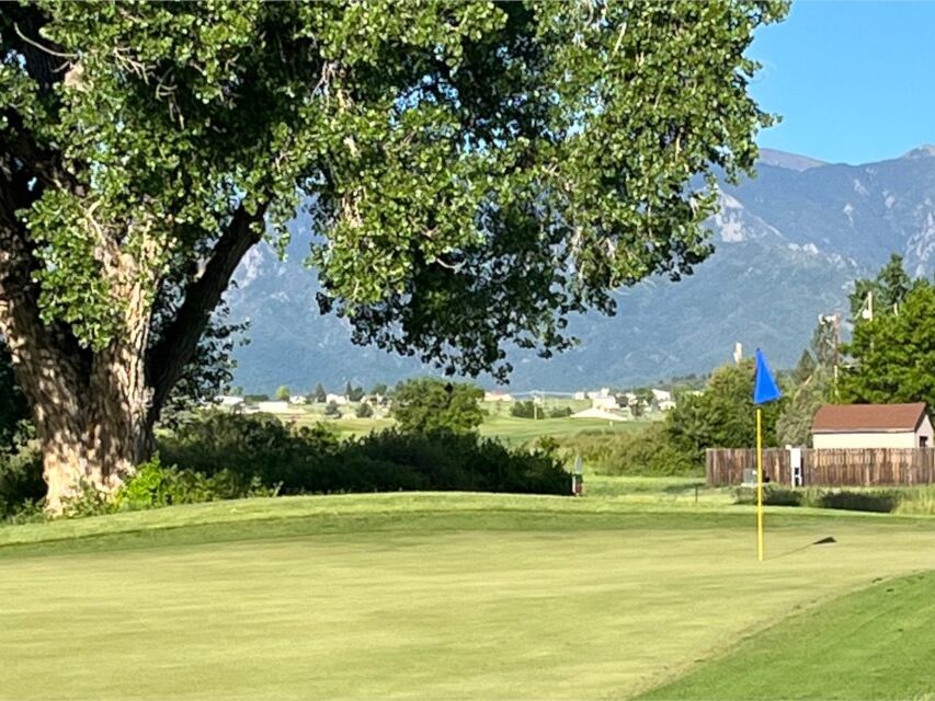 Picture of Hollydot Golf Course