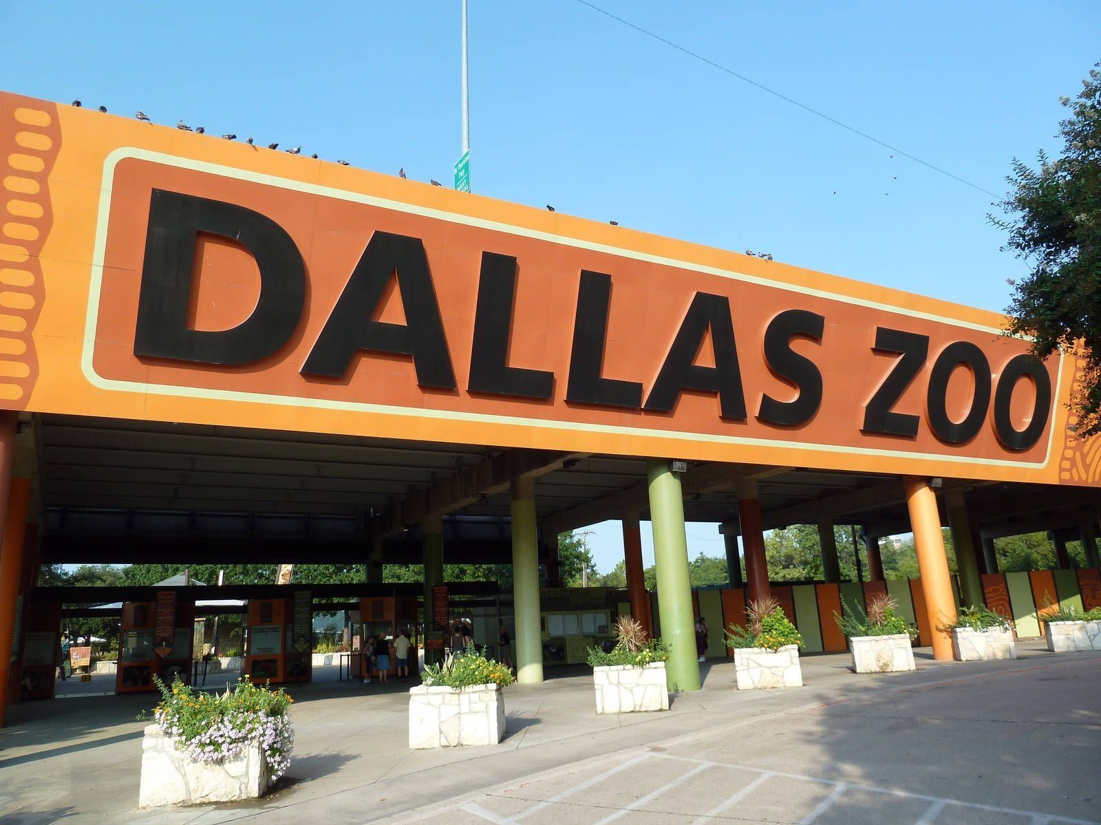 Picture of Dallas Zoo