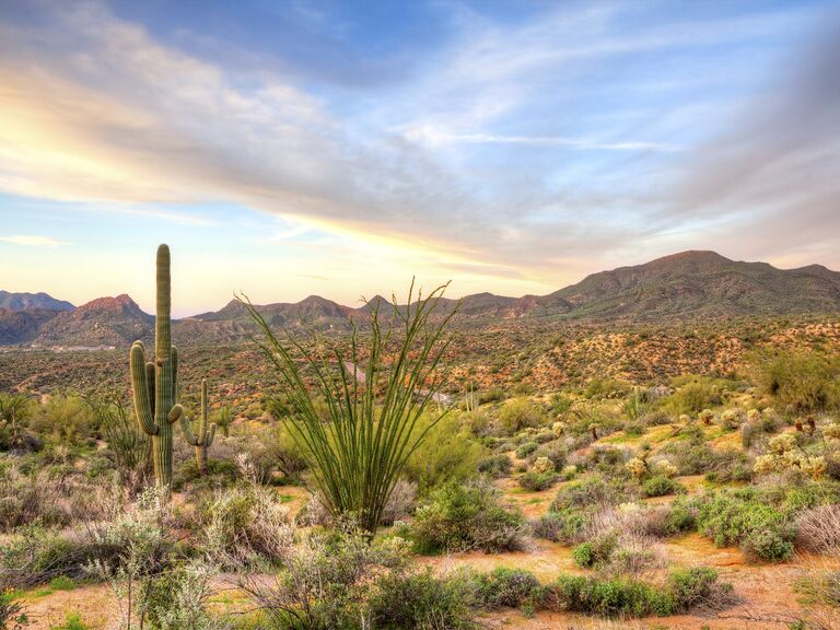 Carefree Arizona honeymoon destination