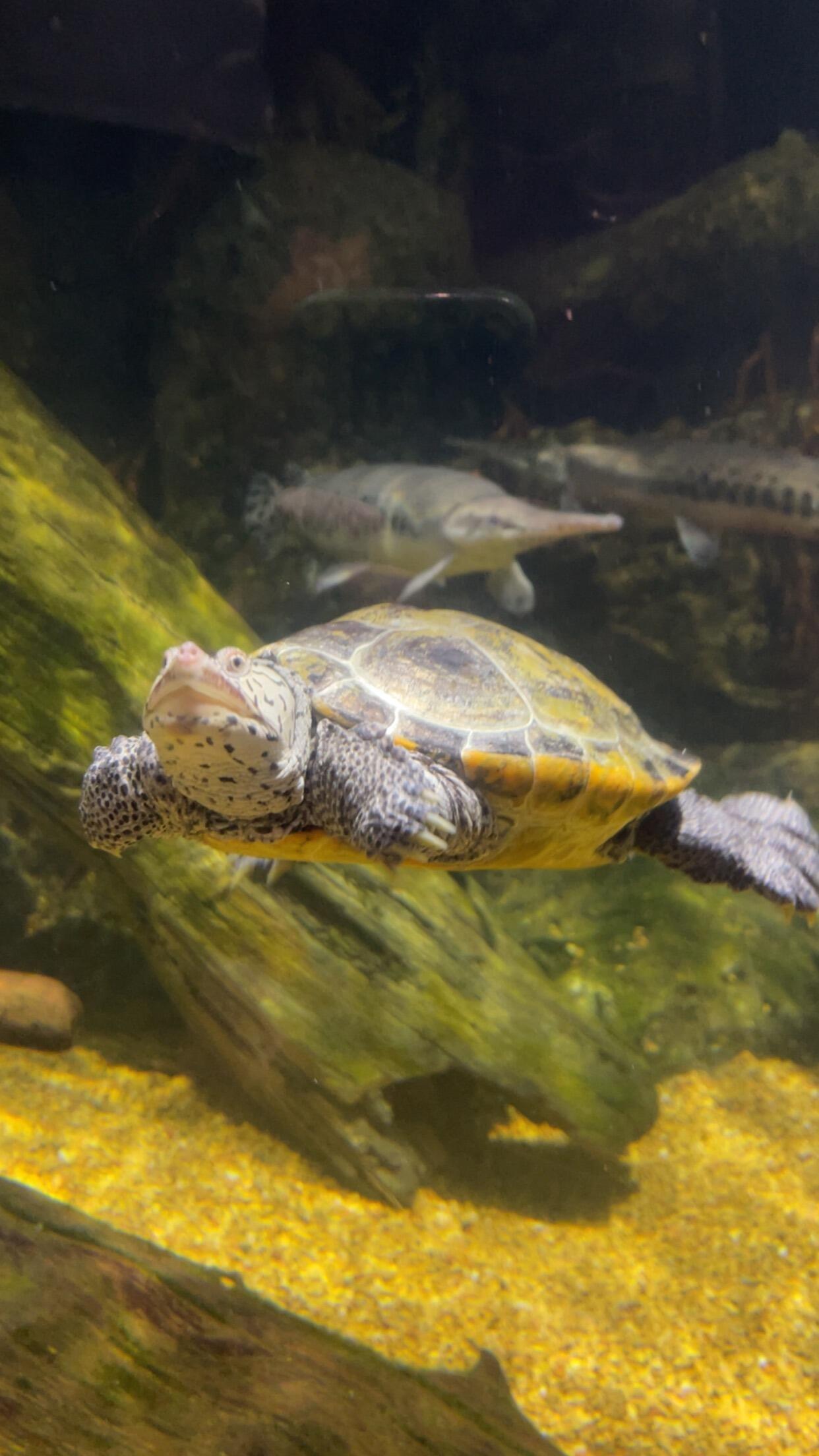 Picture of Virginia Aquarium & Marine Science Center