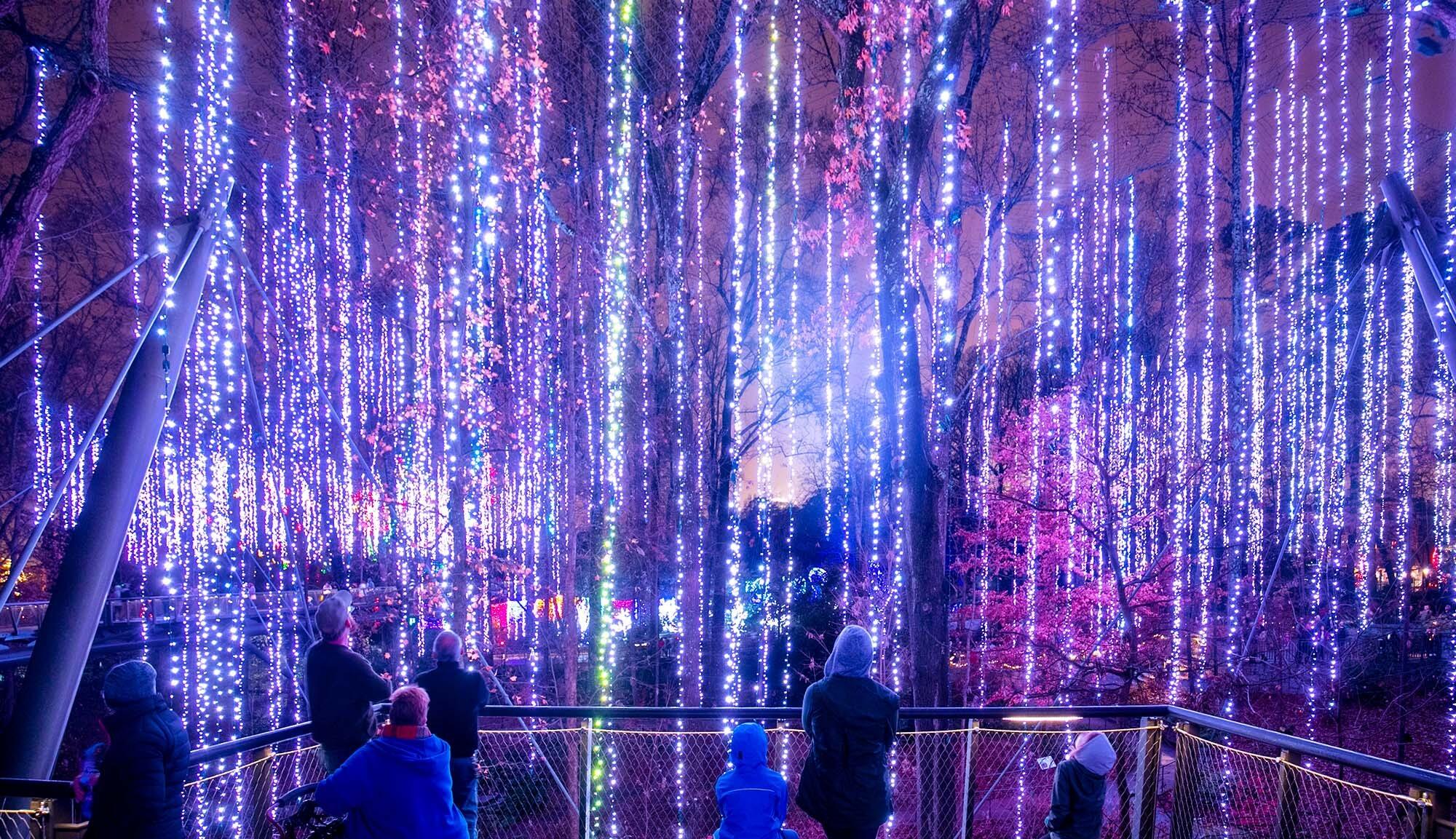 Picture of Atlanta Botanical Garden