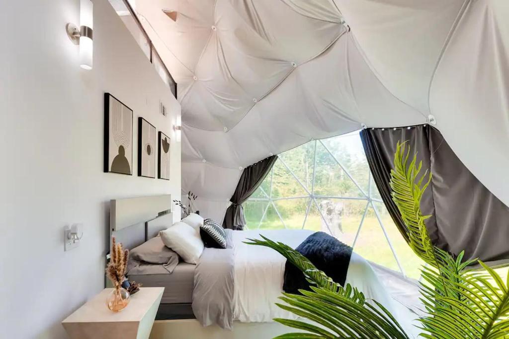 Picture of Unique Escapes