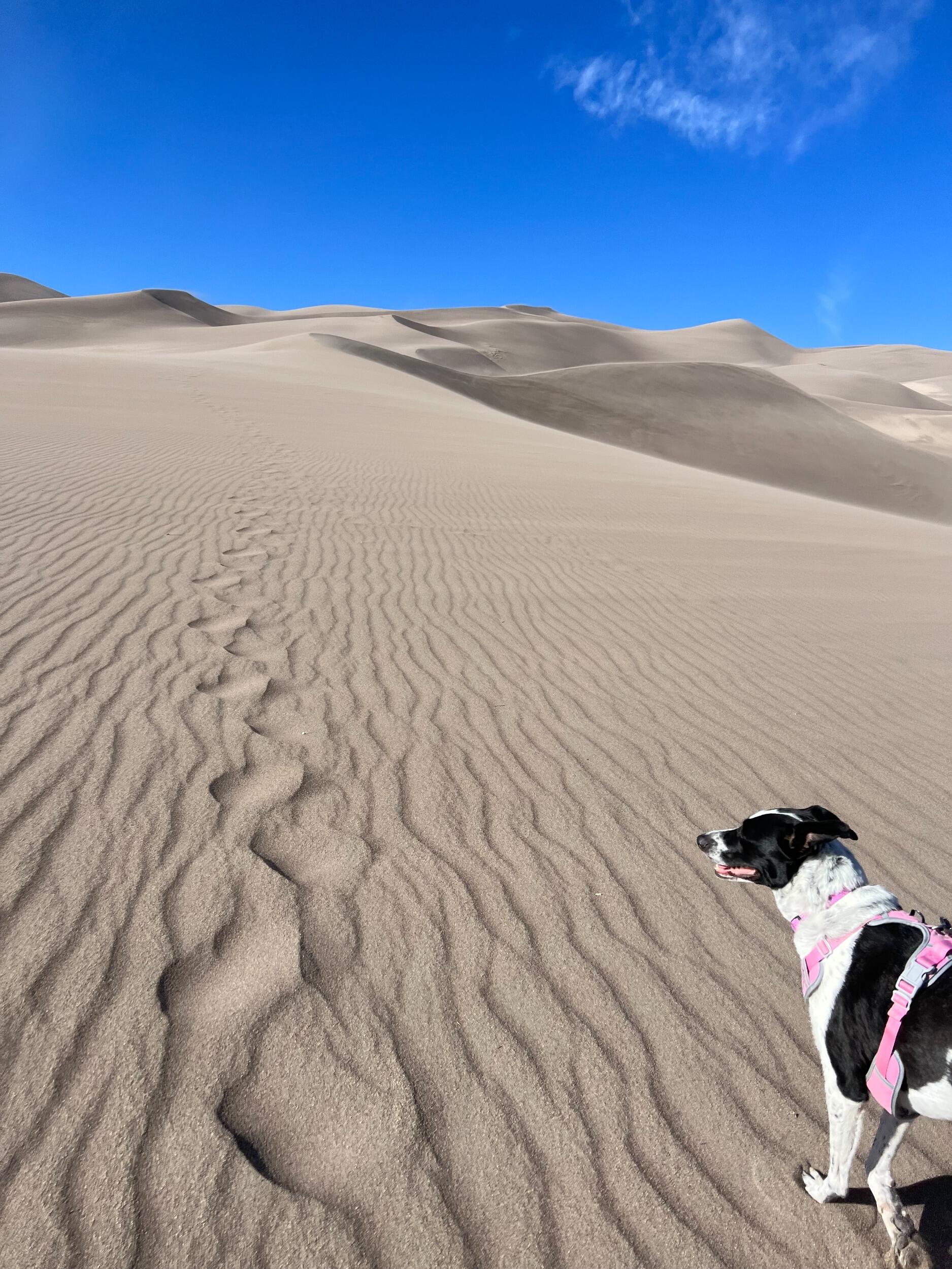 Great Sand Dunes National Park with Pluto and Venus.