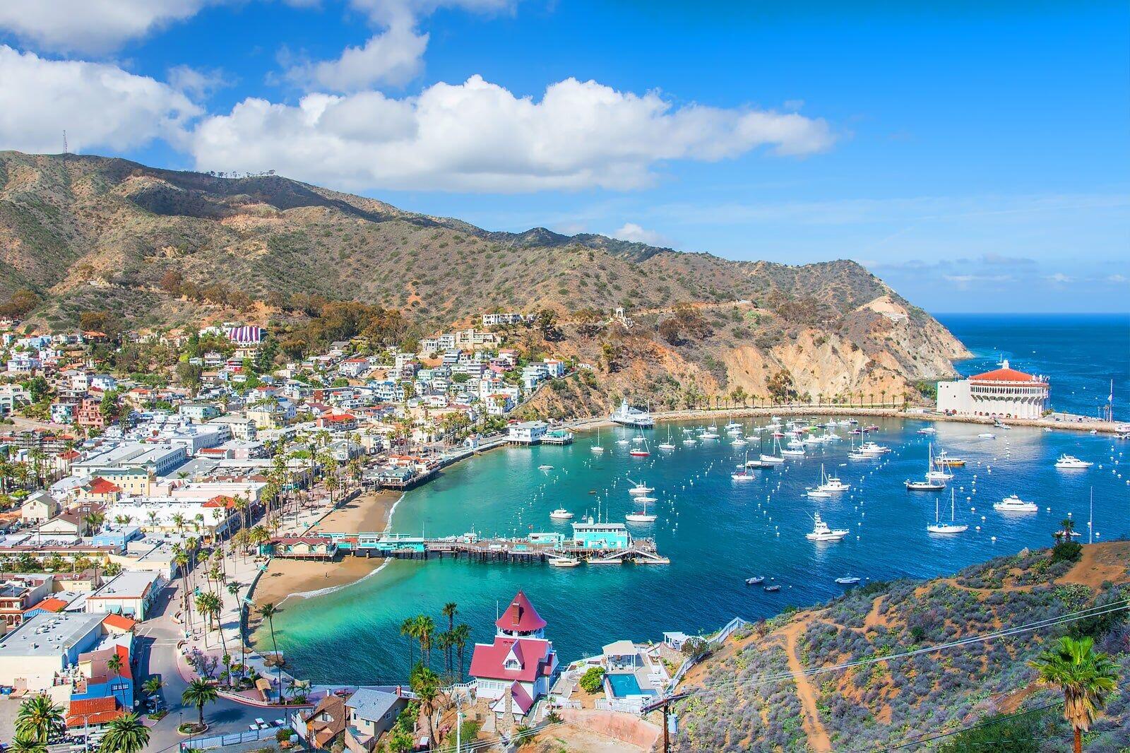 Picture of Catalina Island