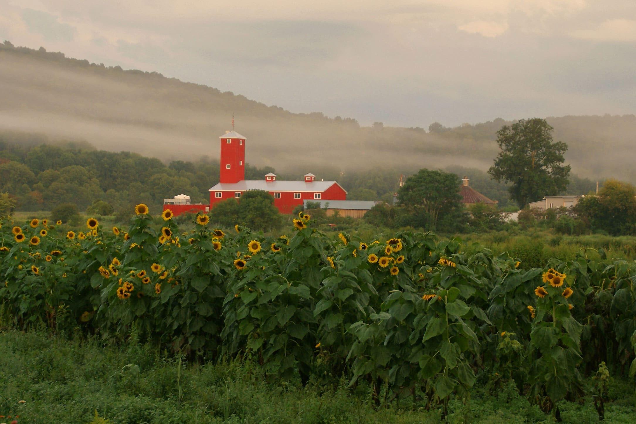 Picture of Black Dirt Distillery