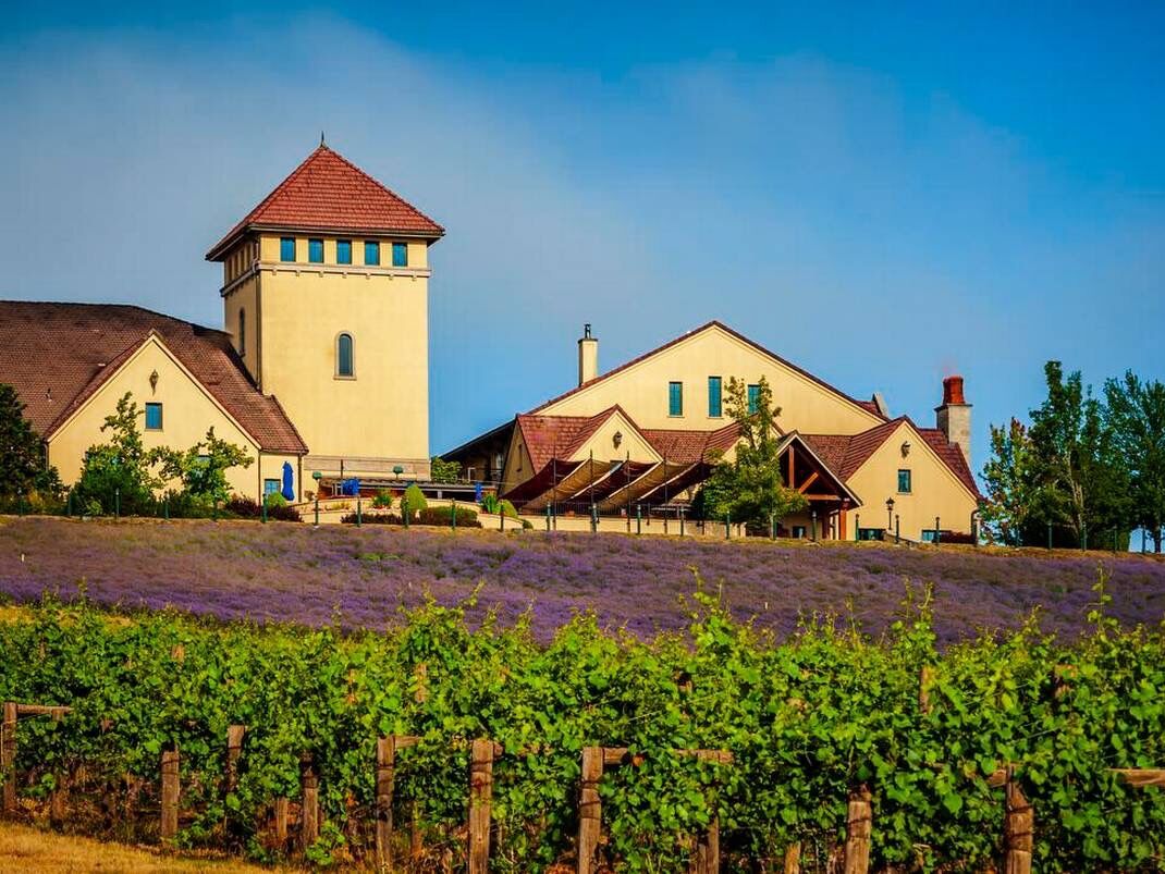 Picture of King Estate Winery
