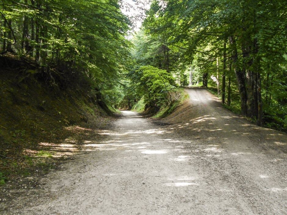 Picture of Hiking in Brasov