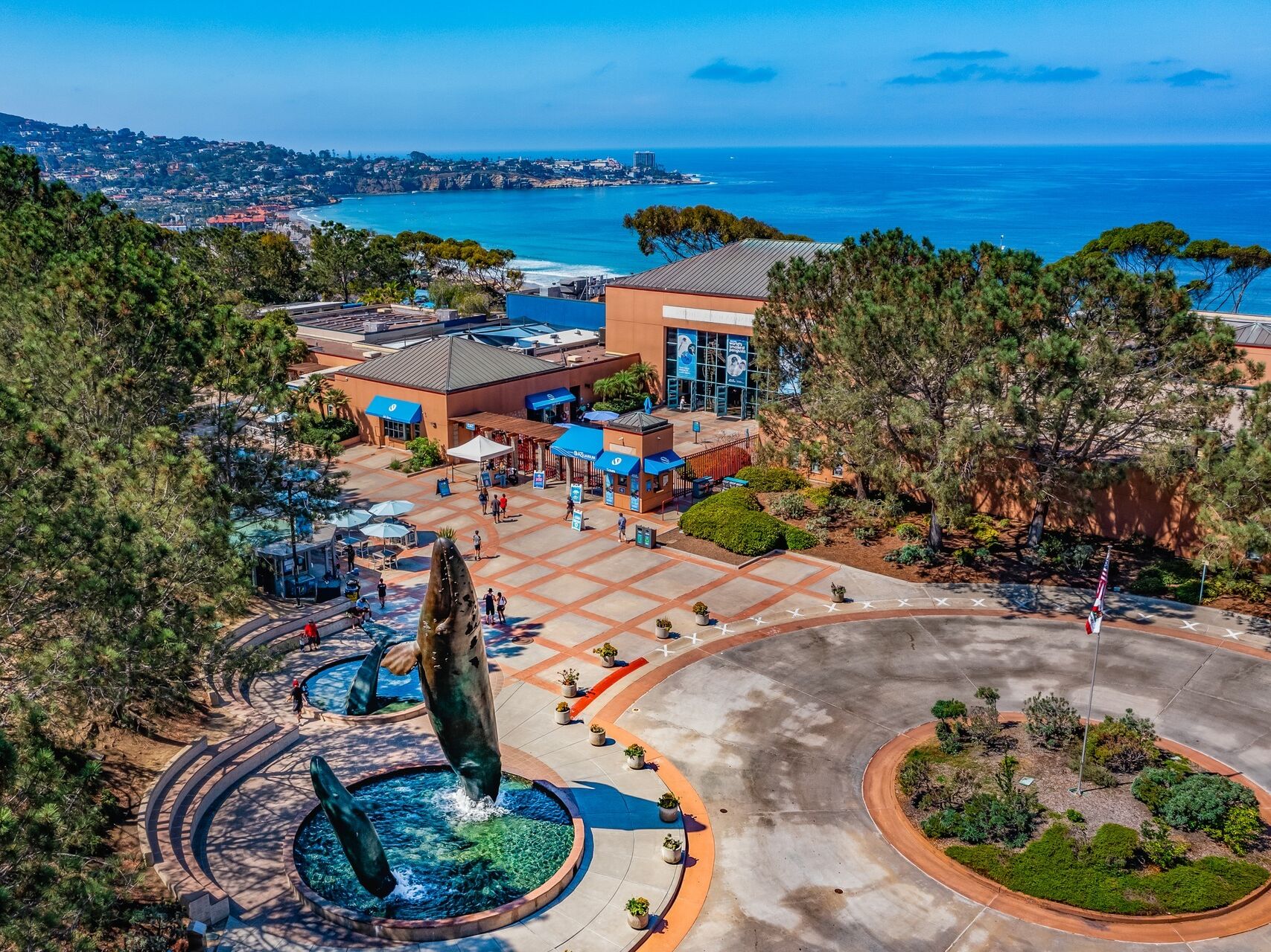 Picture of Birch Aquarium