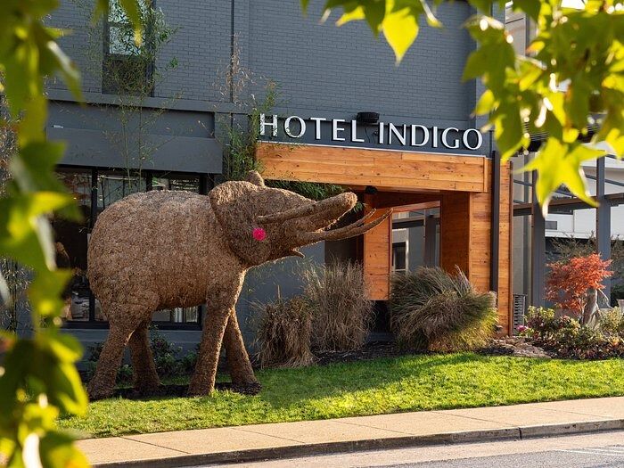 Picture of Hotel Indigo Chattanooga - Downtown, an IHG Hotel