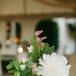Wild Bud Vase Centerpieces with Pitcher Plant