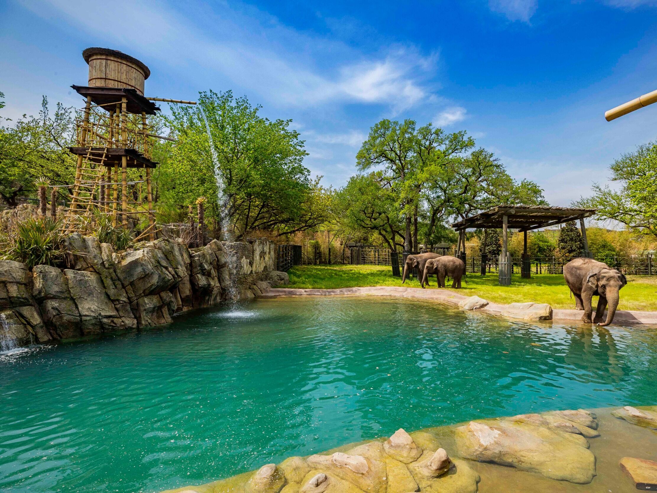 Picture of Fort Worth Zoo