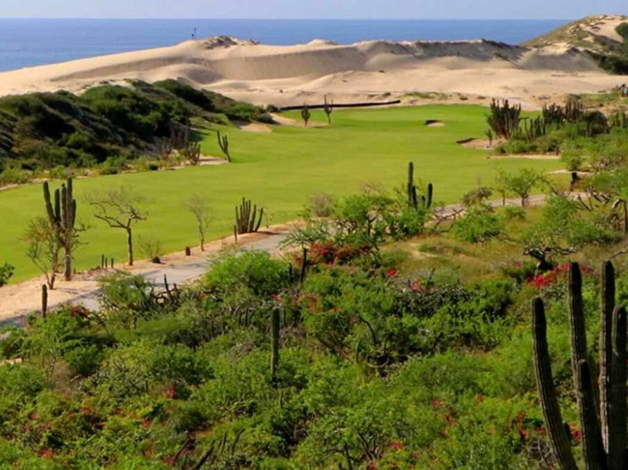 Picture of Grand Solmar Pacific Dunes Golf and Spa