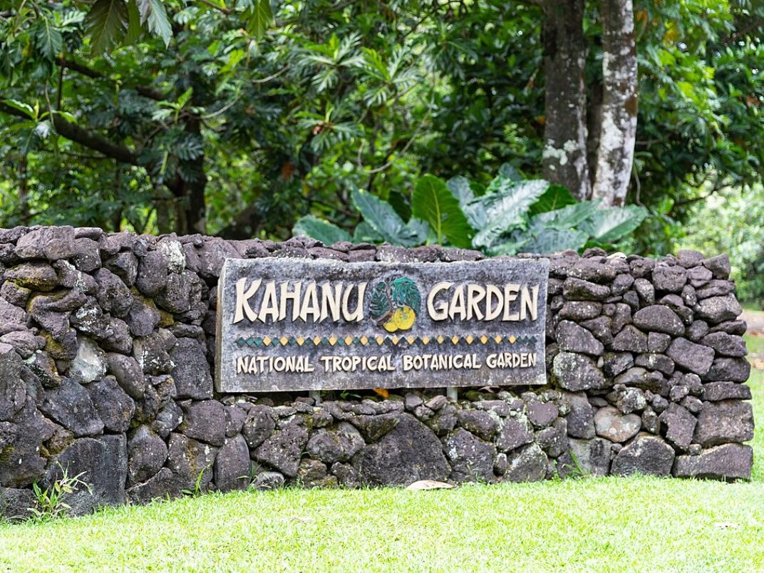 Picture of Kahanu Garden, National Tropical Botanical Garden