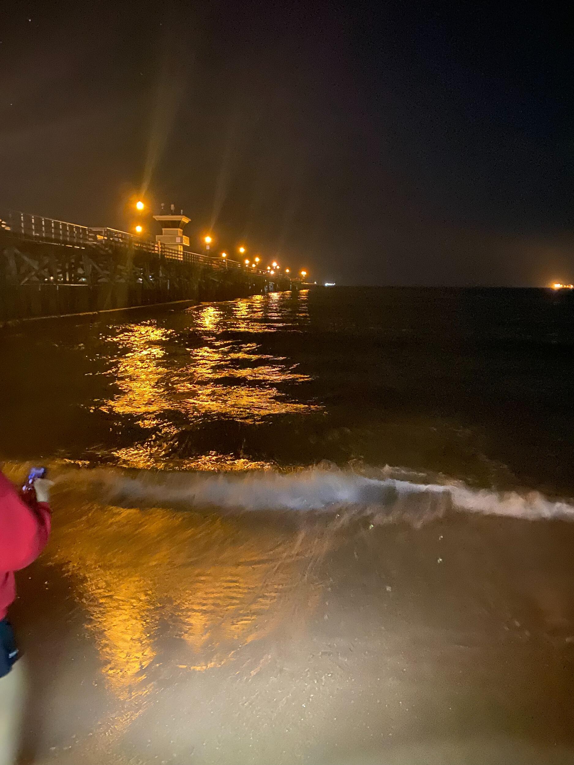 We had finally started to settle in after unboxing all of my things and getting my important documents and accounts switched over to California.

Nick reintroduced me to his friends there, some of whom I had met before. One night, we all went to Seal Beach, where they have evenings when grunion fish come up onto the shoreline and flop around in the sand. I thought it was hilarious and exciting, but Nick had absolutely no interest in the grunions (didn't want to touch them). We also spent time drawing funny pictures in the sand together.