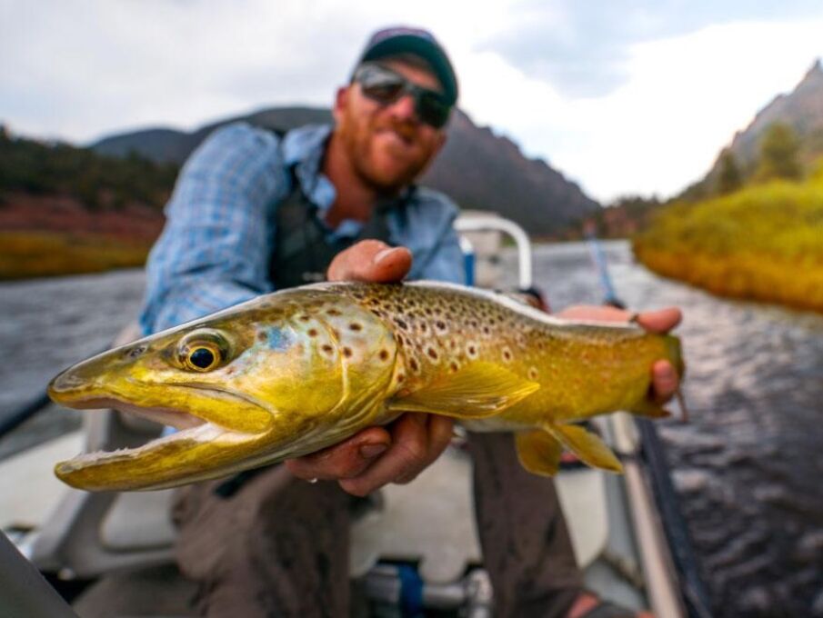 Picture of Learn to Fly Fish